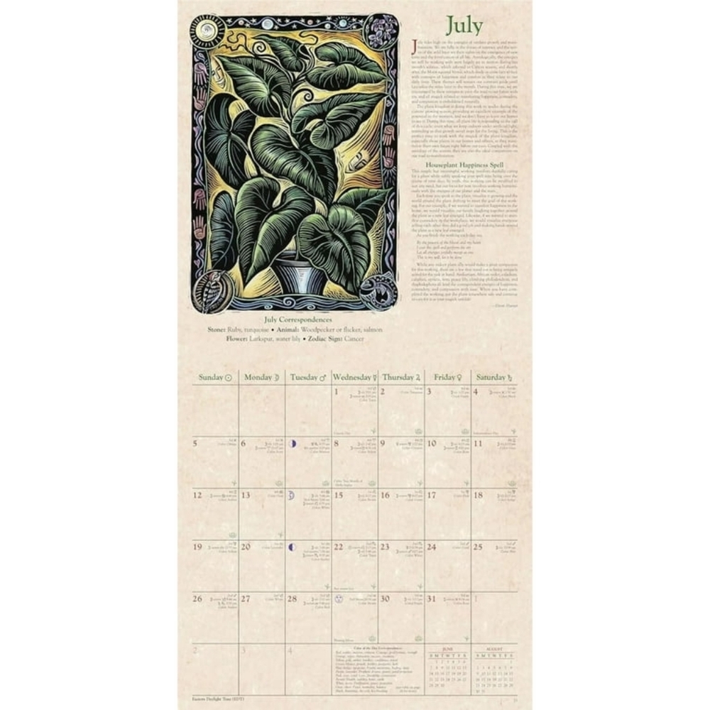 NEW Witches Wall Calendar 2026 - Picture 2 of 6